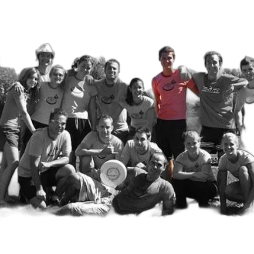 staff, group, people, posing, photo, one, person, center transparent PNG cut-out