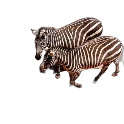 animal, creature, jewelry, weapon, 3d render, photorealistic, concept art, watercolor transparent PNG cut-out