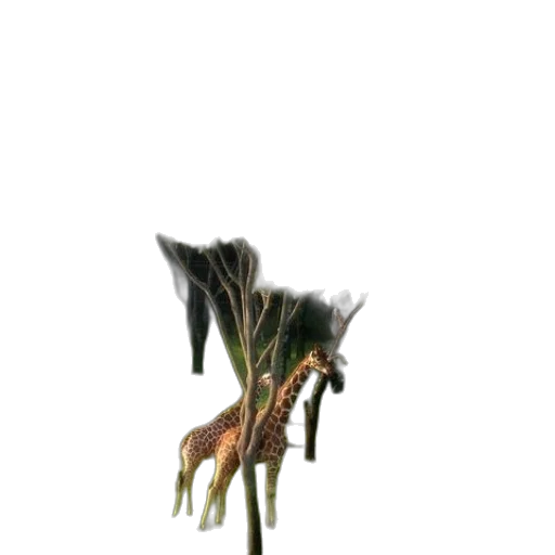 staff, flower, hair, weapon transparent PNG cut-out