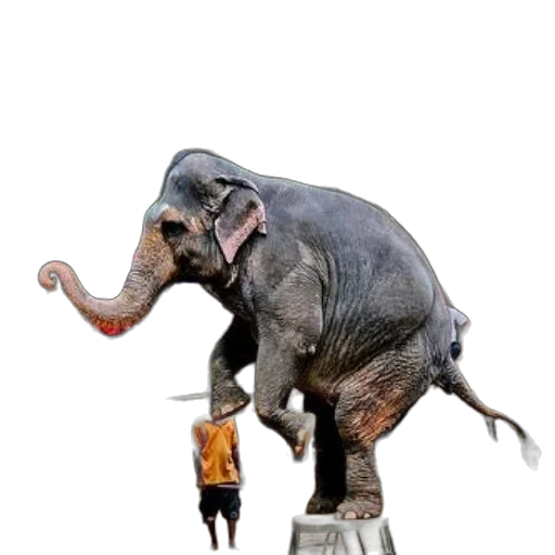animal, creature, staff, robot, concept art, 3d render, photorealistic, fantasy art transparent PNG cut-out