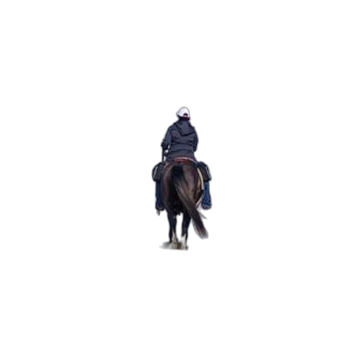 animal, jacket, hat, staff, pixel art, photorealistic, concept art, two transparent PNG cut-out