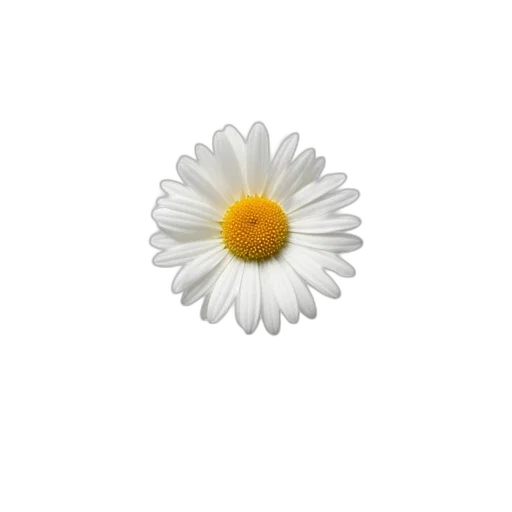 flower, crown, jewelry, weapon, photorealistic, 3d render, pixel art, concept art transparent PNG cut-out