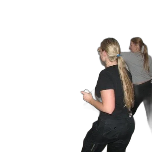 staff, hair, two, women, play, boxing, game, nintendo transparent PNG cut-out