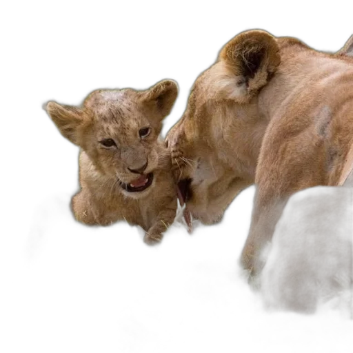 animal, creature, photorealistic, concept art, oil painting, 3d render, lioness, her transparent PNG cut-out