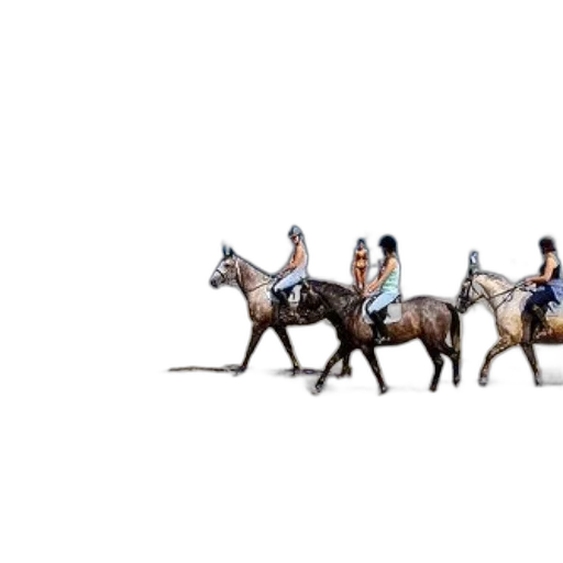 animal, staff, concept art, pixel art, fantasy art, photorealistic, three, people transparent PNG cut-out
