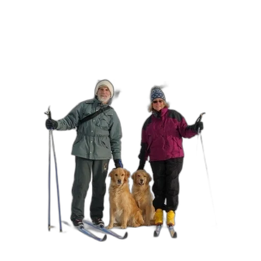 staff, animal, snow, two, people, skis, dogs, front transparent PNG cut-out