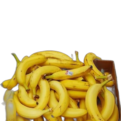 food, crown, animal, weapon, photorealistic, 3d render, oil painting, box transparent PNG cut-out