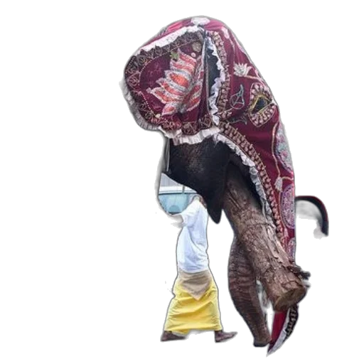 mask, creature, dragon, animal, concept art, 3d render, decorated, elephant transparent PNG cut-out