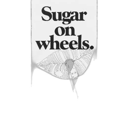 car, food, jewelry, weapon, black, white, advertisement, sugar transparent PNG cut-out