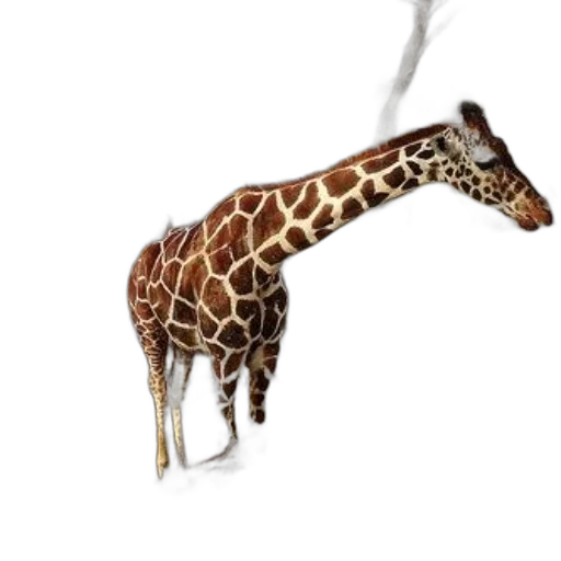 animal, staff, creature, jewelry, 3d render, concept art, photorealistic, fantasy art transparent PNG cut-out