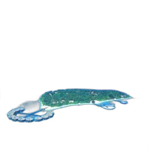 bottle, creature, animal, shoes, 3d render, photorealistic, concept art, underwater transparent PNG cut-out