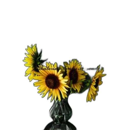 flower, jewelry, crown, staff, photorealistic, 3d render, oil painting, beautiful transparent PNG cut-out