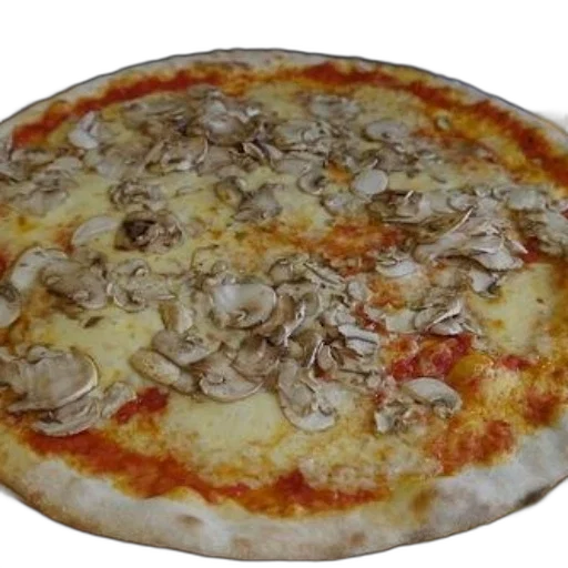 food, jacket, 3d render, photorealistic, large, pizza, mushrooms, melted transparent PNG cut-out