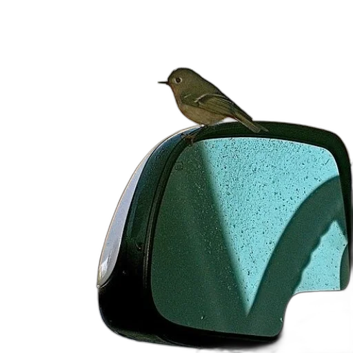 hat, car, furniture, shoes, 3d render, photorealistic, green, earth tones transparent PNG cut-out