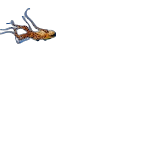 creature, animal, dragon, hair, 3d render, concept art, pixel art, photorealistic transparent PNG cut-out