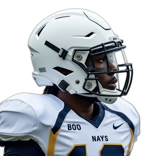 picture, white, football, player, wearing, navy, game, issued transparent PNG cut-out