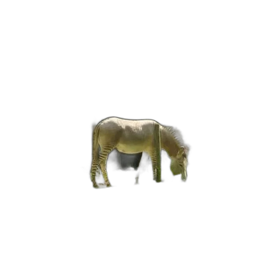 animal, creature, hair, dragon transparent PNG cut-out