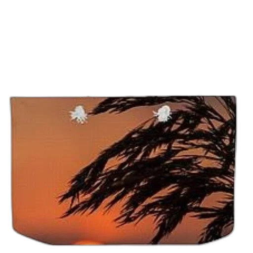 photorealistic, sunset, beach, serene transparent PNG cut-out