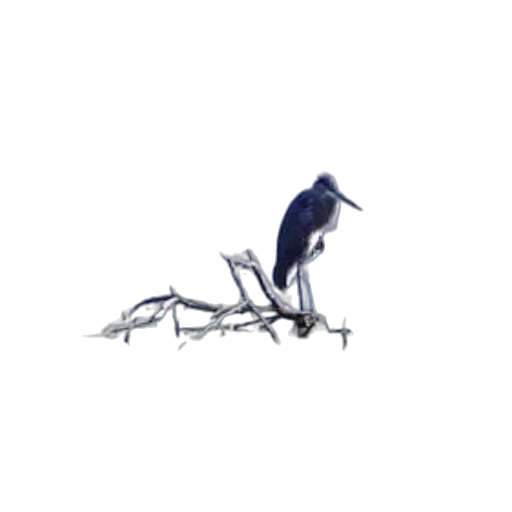 animal, robot, staff, creature transparent PNG cut-out