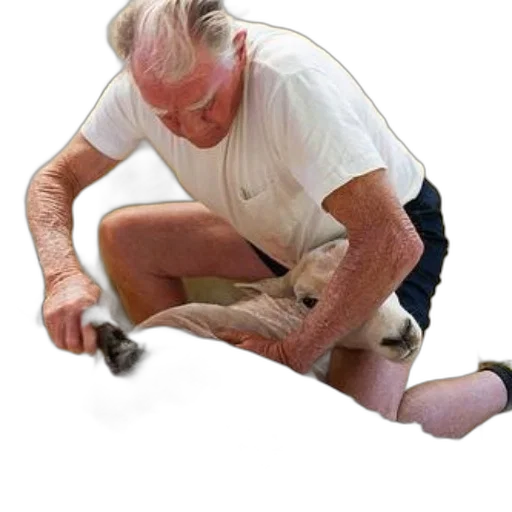 animal, staff, shoes, weapon, photorealistic, man, shears, sheep transparent PNG cut-out