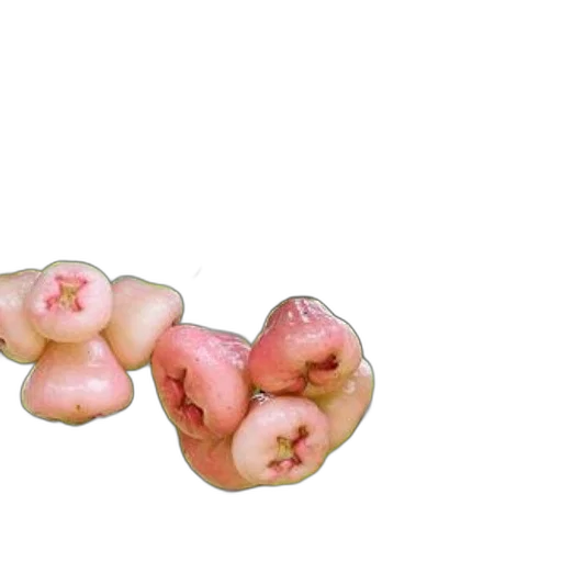 food, flower, crown, jewelry, 3d render, photorealistic, cluster, rose transparent PNG cut-out