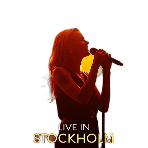 second, image, promotional, poster, live, concert, featuring, artist transparent PNG cut-out