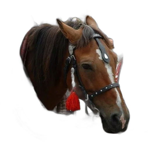 jewelry, animal, crown, hat, photorealistic, 3d render, oil painting, concept art transparent PNG cut-out