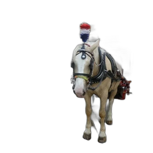 hat, staff, animal, crown, 3d render, photorealistic, concept art, oil painting transparent PNG cut-out