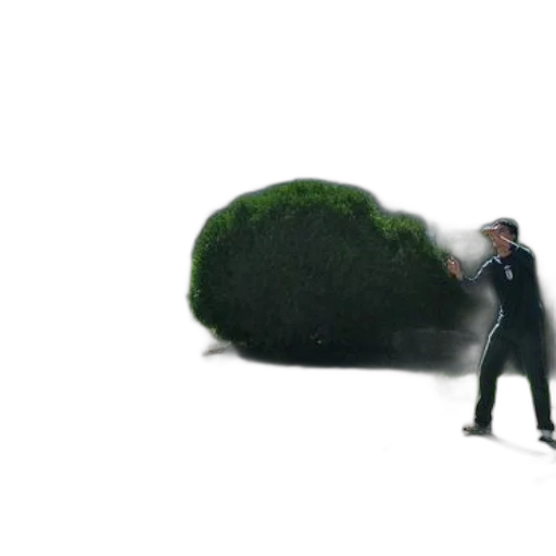 tree, staff, hair, 3d render, concept art, photorealistic, fog, forest transparent PNG cut-out