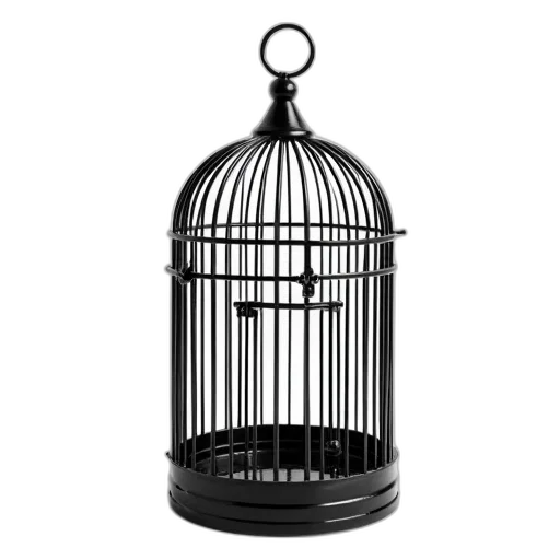 jewelry, crown, animal, black, metal, birdcage, domed, top transparent PNG cut-out