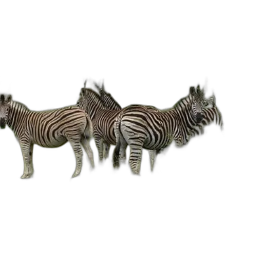 animal, creature, jewelry, furniture, 3d render, concept art, photorealistic, four transparent PNG cut-out