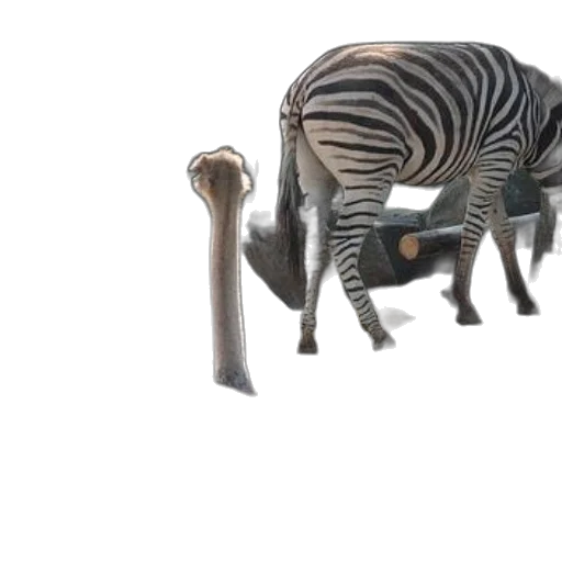 animal, furniture, creature, weapon, 3d render, concept art, photorealistic, fantasy art transparent PNG cut-out