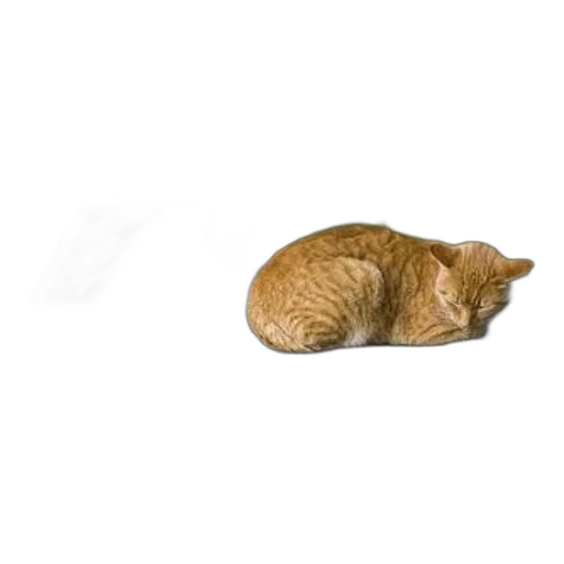 animal, staff, creature, hat, photorealistic, 3d render, pixel art, concept art transparent PNG cut-out