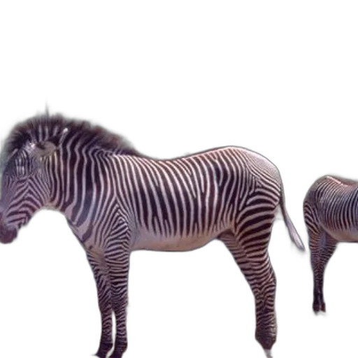 animal, creature, furniture, jewelry, 3d render, photorealistic, concept art, fantasy art transparent PNG cut-out