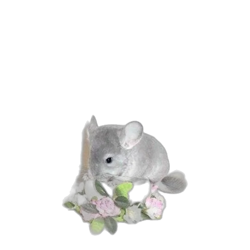 animal, creature, flower, jewelry, photorealistic, 3d render, oil painting, concept art transparent PNG cut-out