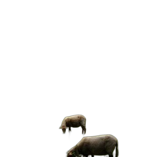 animal, creature, shoes, furniture, concept art, photorealistic, 3d render, fog transparent PNG cut-out