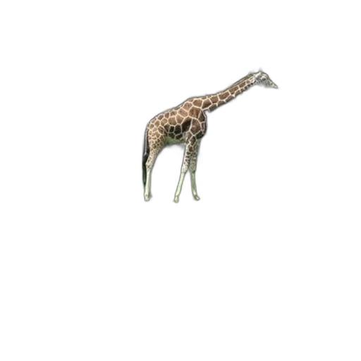 animal, creature, staff, umbrella, 3d render, pixel art, concept art, photorealistic transparent PNG cut-out
