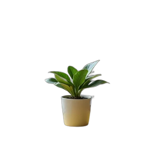 crown, flower, staff, tree, 3d render, photorealistic, concept art, small transparent PNG cut-out