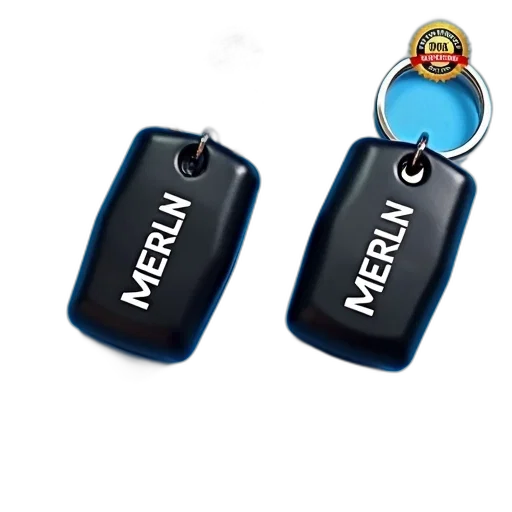 jewelry, 3d render, first, image, shows, two, black, key transparent PNG cut-out