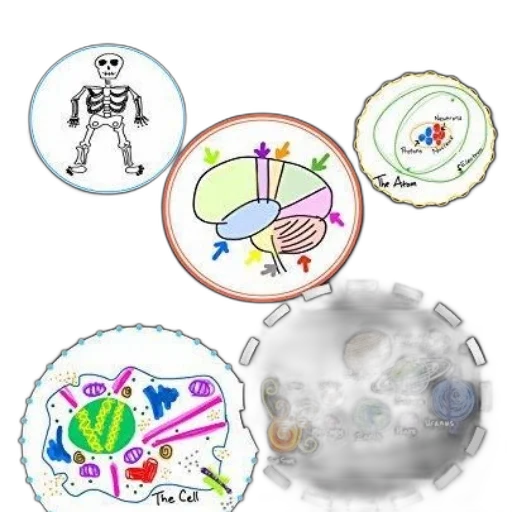 concept art, book, cover, featuring, illustrations, skeleton, brain, atom transparent PNG cut-out
