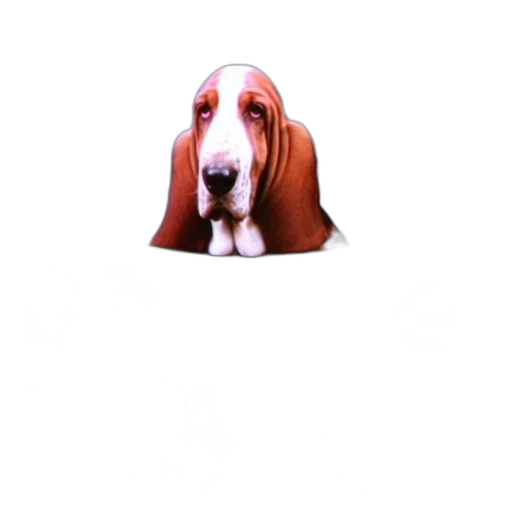 animal, face, creature, hat, photorealistic, 3d render, oil painting, pixel art transparent PNG cut-out