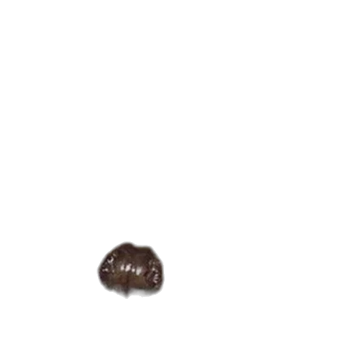 food, hair, animal, creature, photorealistic, 3d render, outer space, earth tones transparent PNG cut-out