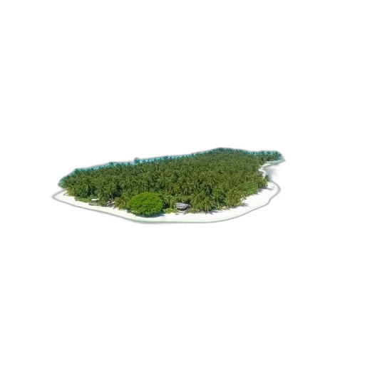 tree, crown, hat, jewelry, 3d render, photorealistic, forest, aerial transparent PNG cut-out