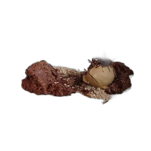 hair, food, animal, mask, 3d render, photorealistic, plate, chocolate transparent PNG cut-out