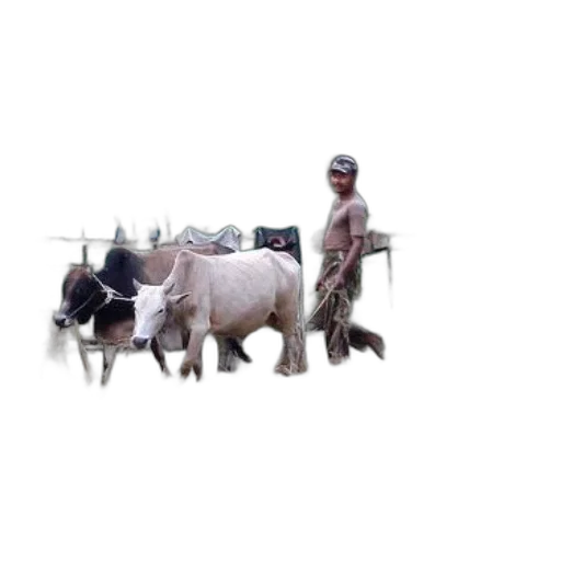 animal, creature, 3d render, concept art, photorealistic, pixel art, man, camouflage transparent PNG cut-out
