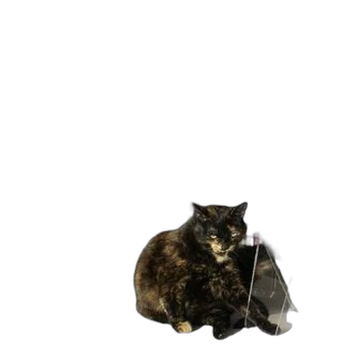 animal, creature, jacket, umbrella, 3d render, photorealistic, concept art, pixel art transparent PNG cut-out