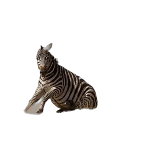 animal, creature, staff, jewelry, 3d render, photorealistic, concept art, two transparent PNG cut-out