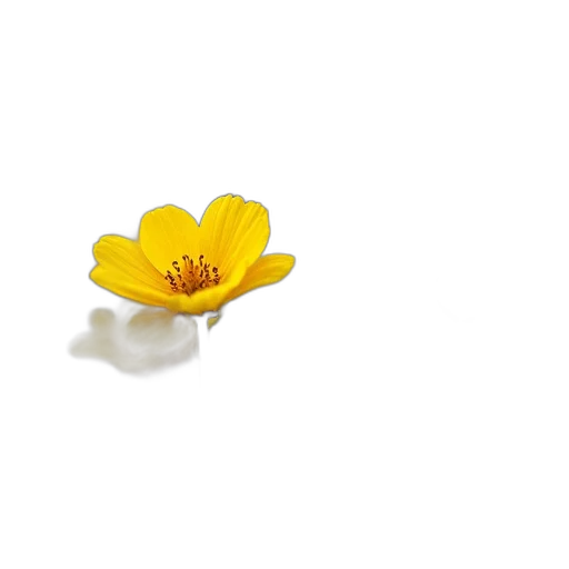 flower, jewelry, crown, food, 3d render, photorealistic, pixel art, concept art transparent PNG cut-out