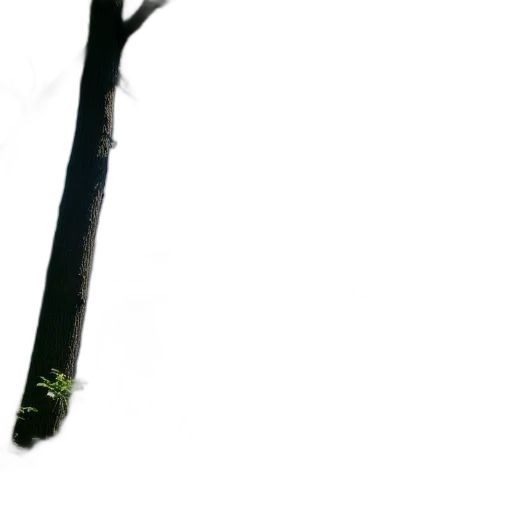 tree, staff, sword, umbrella, 3d render, photorealistic, concept art, fog transparent PNG cut-out