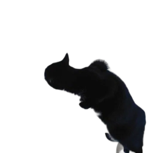 animal, staff, creature, dragon, 3d render, photorealistic, concept art, black transparent PNG cut-out